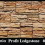 profit-ledgestone-virginia-606