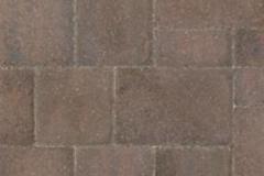 Cambridge - Fossil Beige 