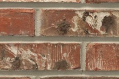 Corncordia KS Brick 