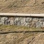 IMG_2317