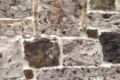 Fredericksburg Blend 