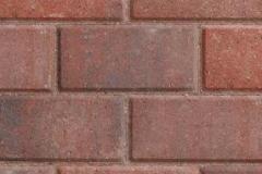 Holland - Brazos Blend