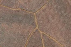 MeaArbel - Brittnay Beige