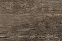 Medium Brown 