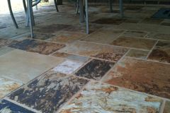 Oklahoma Multicolor Flooring