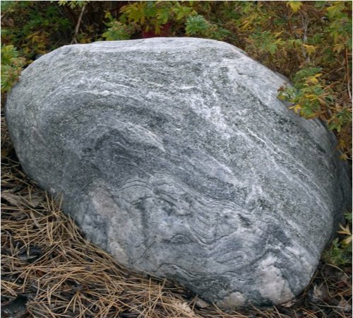 The gray rock in garden
