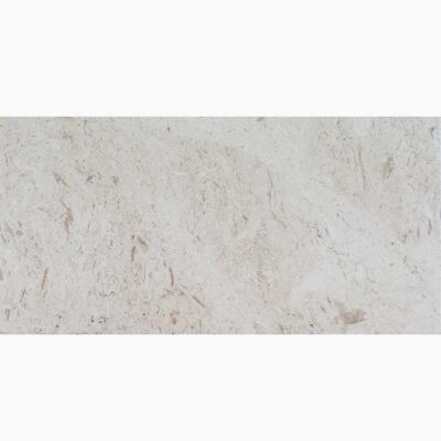 Shell Stone | Stone-Mart | Legends Stone : Legends Stone