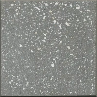Silver Sam | Desertlock | Artistic Paver - Click for more info and photos