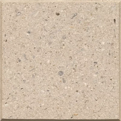 Tan | Shellock | Artistic Paver - Click for more info and photos