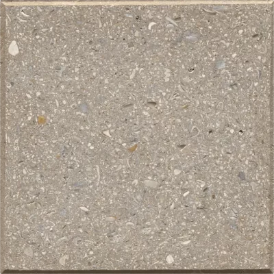 Cafe | Shellock | Artistic Paver - Click for more info and photos