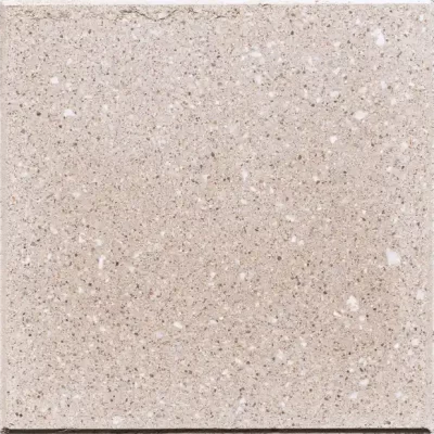 Biscotti | Desertlock | Artistic Paver - Click for more info and photos