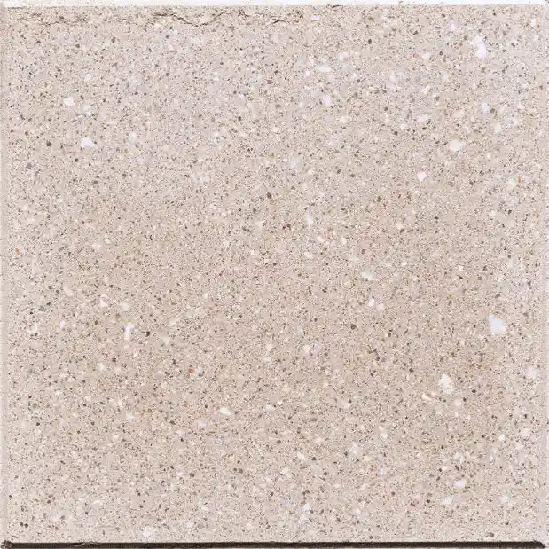 Shell – Biscotti, Polished finish