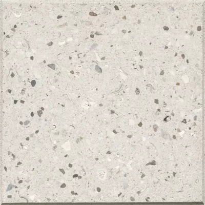 Cool White | Desertlock | Artistic Paver - Click for more info and photos