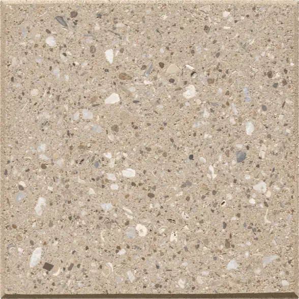 Shell DS – Sand, Polished finish